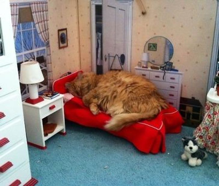 a76fa65c80bf7c687e02b02395 a76fa65c80bf7c687e02b02395