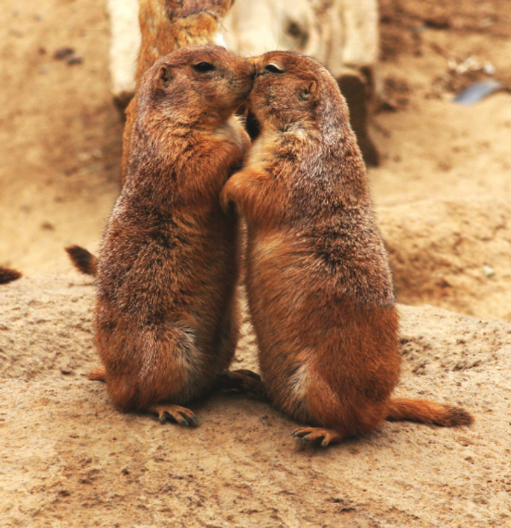 a76fd95b26826e0685d3509232