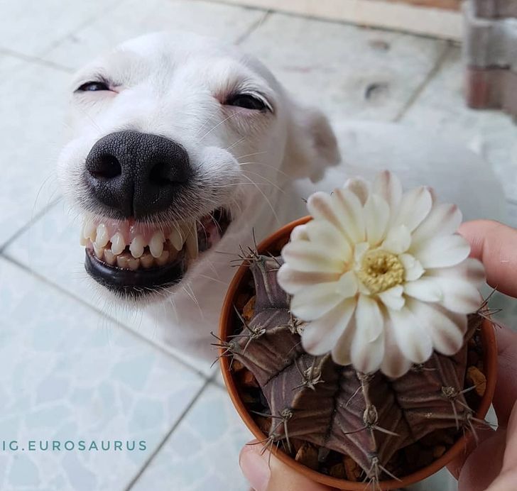 a77e745ad7a00cb42d730f36f1