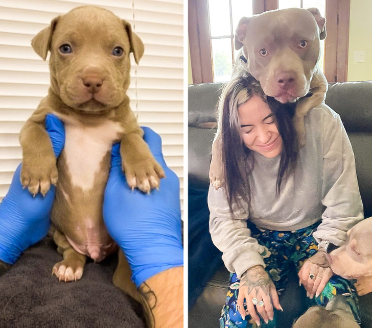 a788d15d8aaef6cc0890418527 a788d15d8aaef6cc0890418527