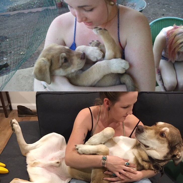 a789df56c899d5ff00a449df4c