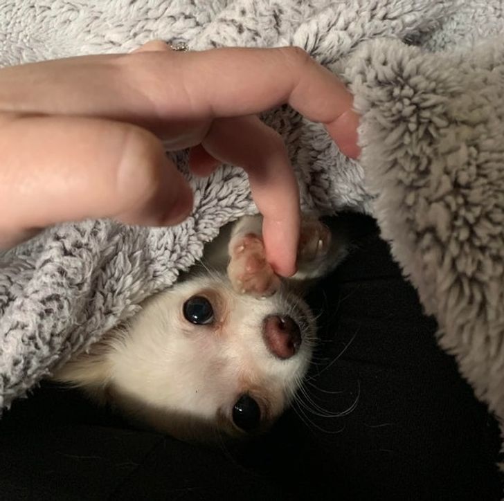 a7938b5033b2919c475ddf7b02