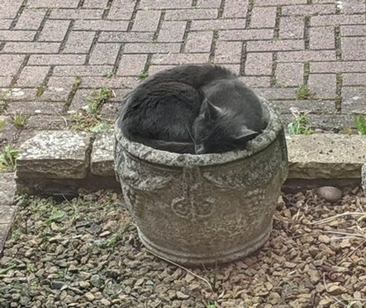 a7943f53dcabcfe006085a5c6f