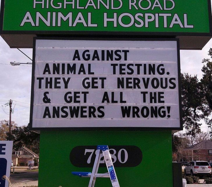 a7a07b500a8c82a227d1b3f428