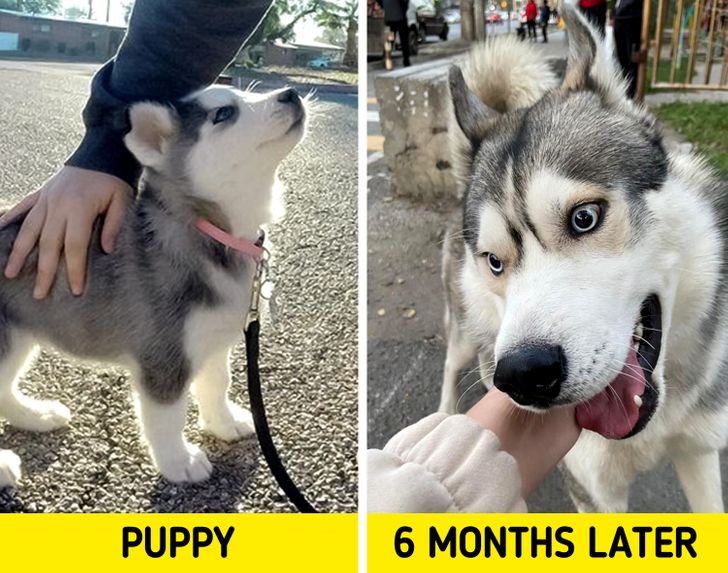 a7a2225d6dbdf58db8c966d148