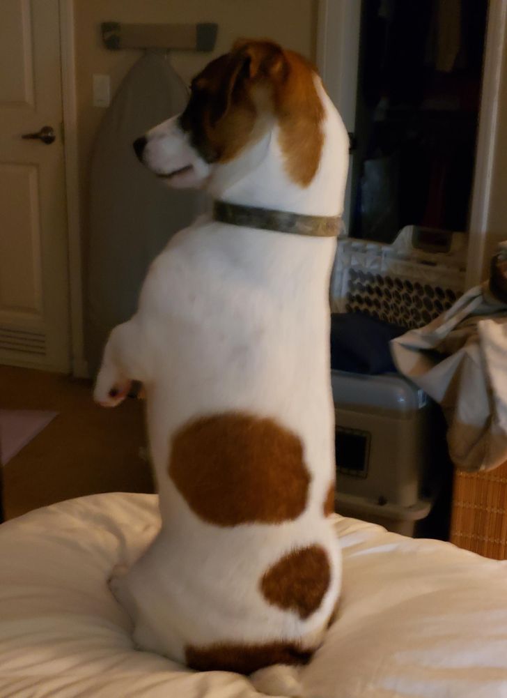 a7a4605d238a872703f29a266b