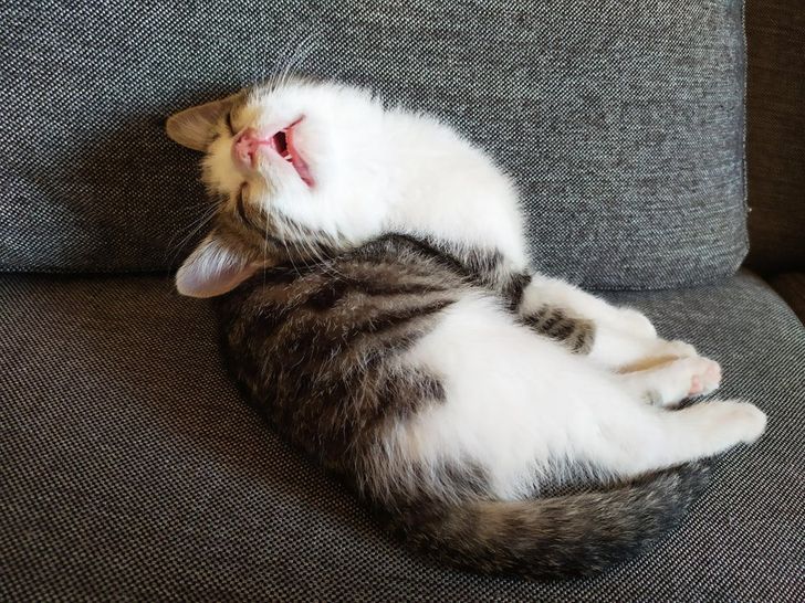 a7aee15c47ba08606794de72ce