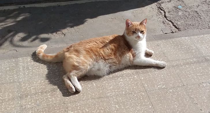 a7b70754c59e0b0d81c84e6559