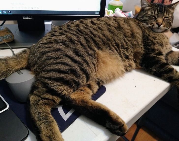 a7bea45c00882b5f0133f1cf88 a7bea45c00882b5f0133f1cf88