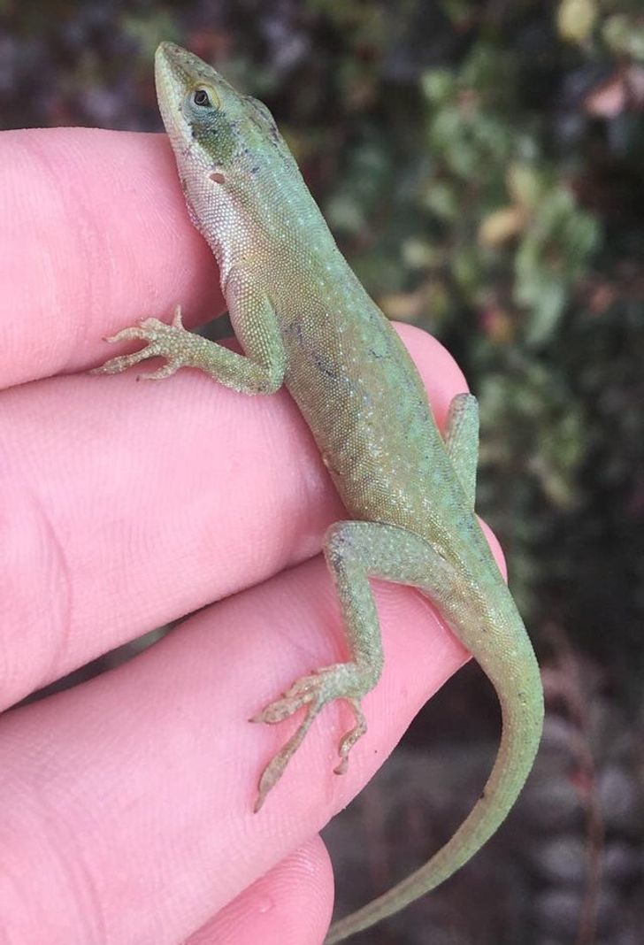 a7c47550ee9e33ad0e43ab00e7