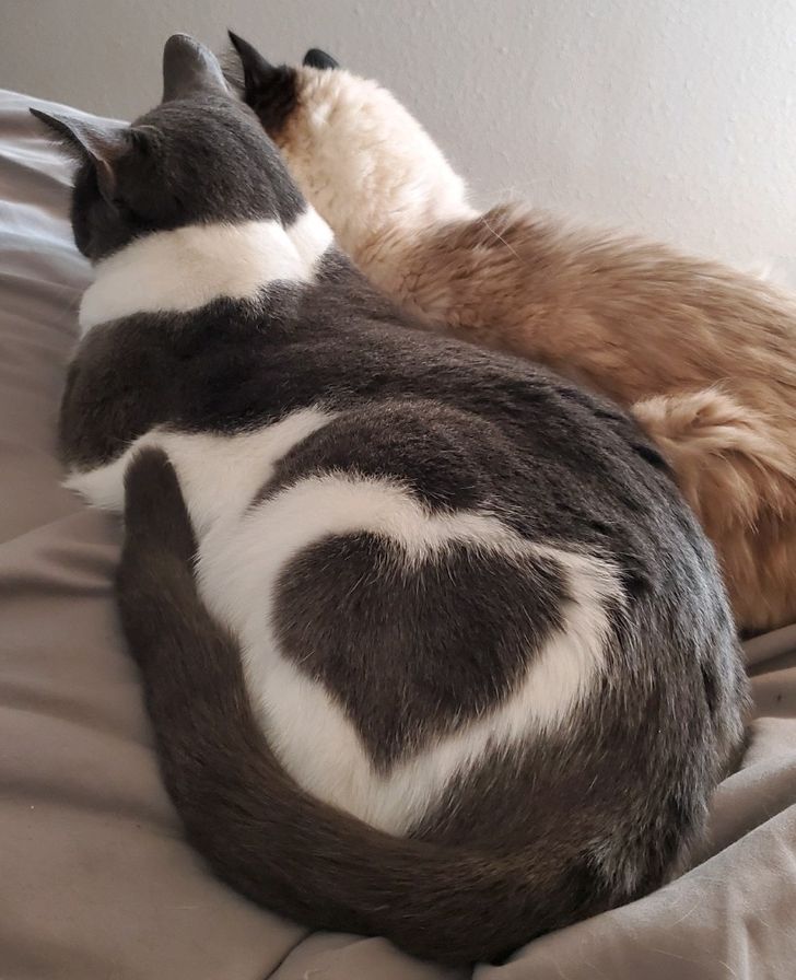 a7c5c450c3ba58b196928409c0