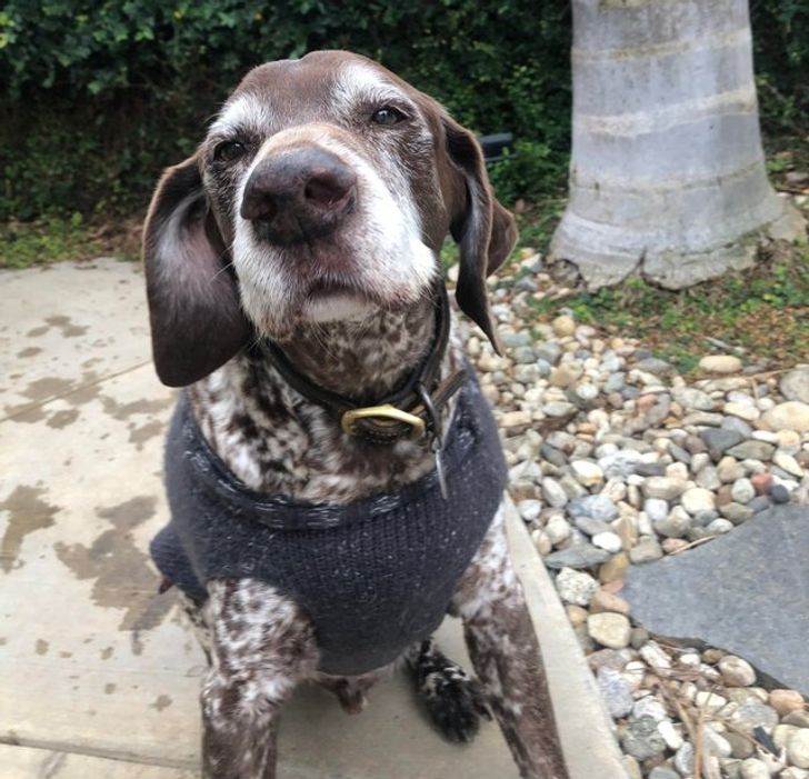 a7c62e50e1983b1668b9ad4be9