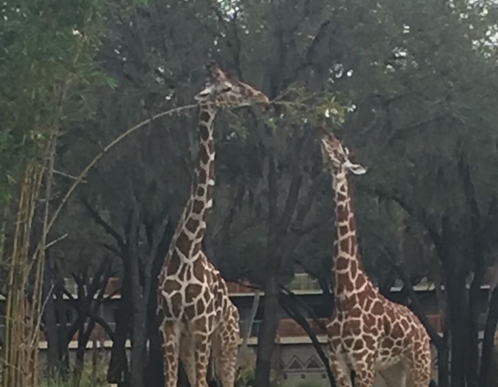 a7c72555dd9925849f7feb3514