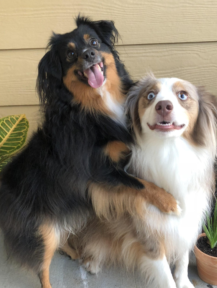 a7c8ea55f593db13f535116a98 a7c8ea55f593db13f535116a98