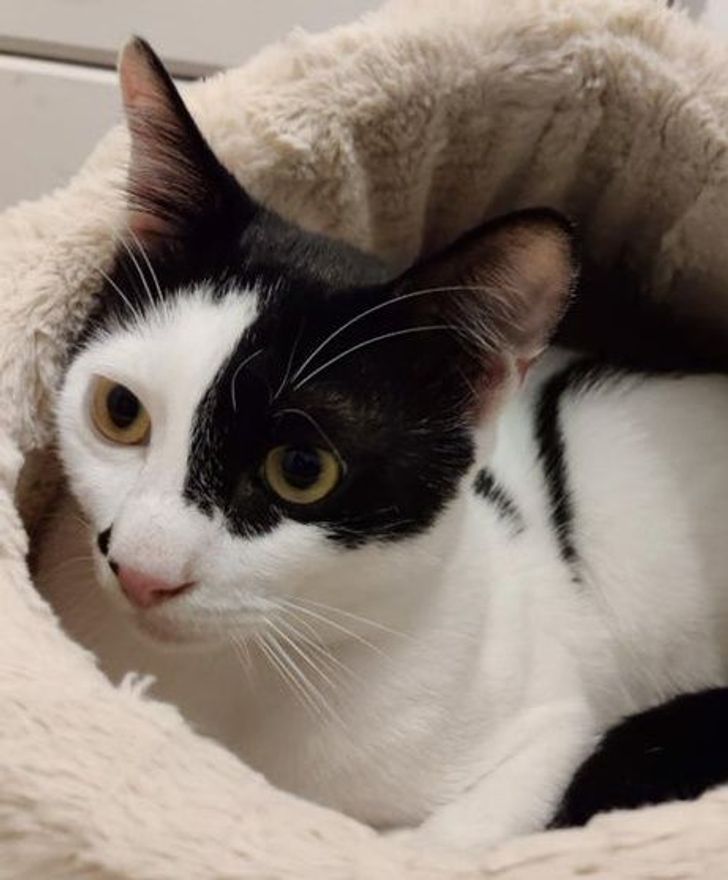 a7cc295c878626baac8d904063