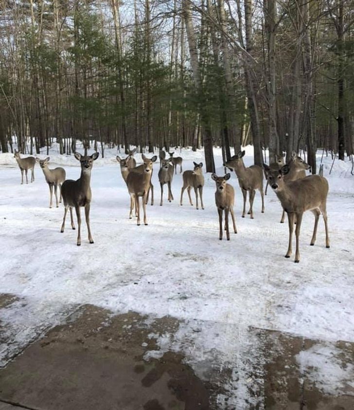 a7d7fa5c7992319d214b889cc9