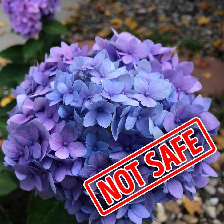 a7d8ab5d30804fec62916336b0