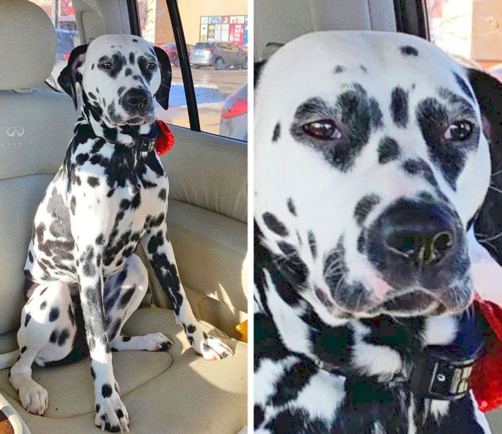 a7d9905711ad7c2bfaa7a80cab