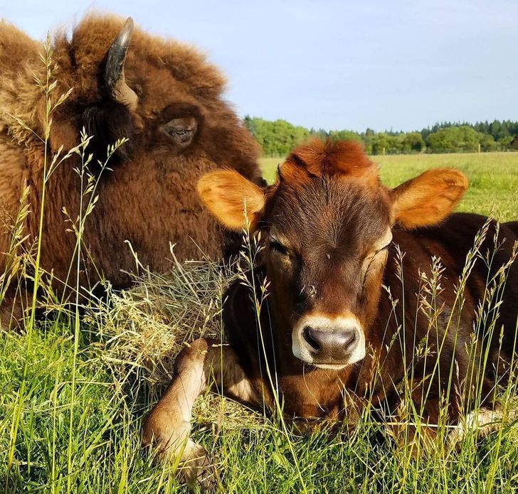 a7db0b5d74aed54fa5dad689a2