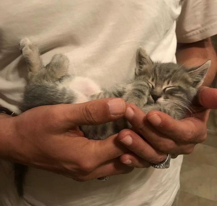 a7e837580fa05539257d6c5091