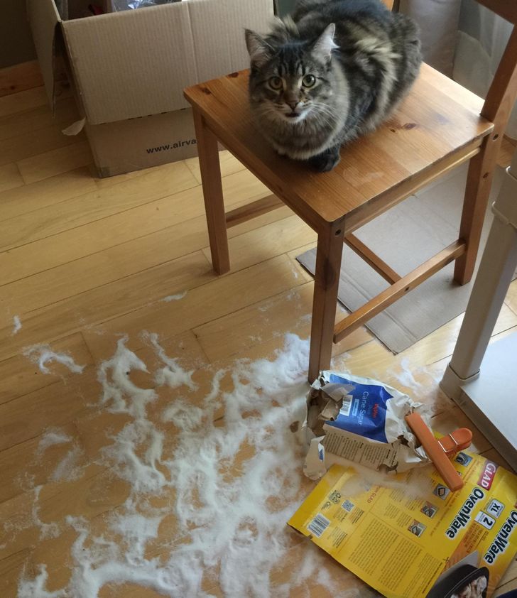 a80e6057528f52cdf2413ea651