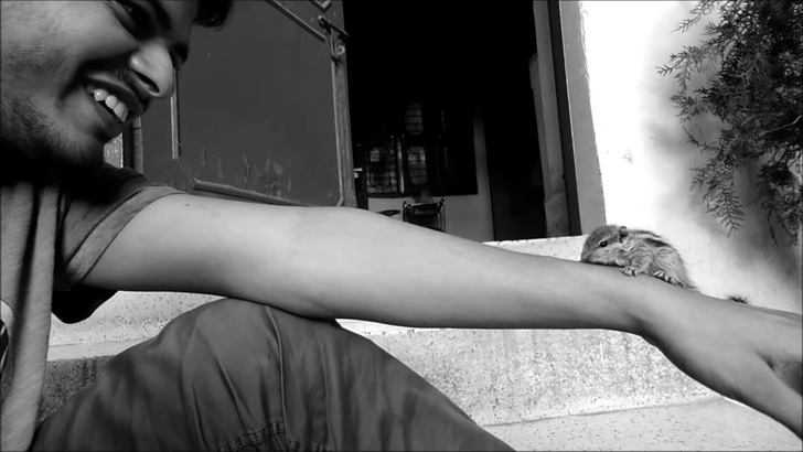 a8138b5a1482b102372319c437