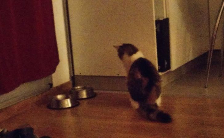 a81f345187b3beec49d9e8d6c5