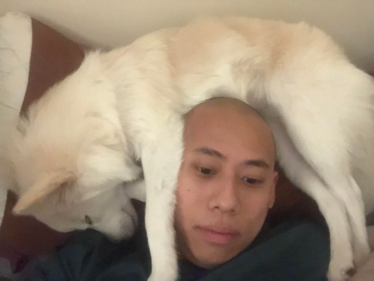 a8221a5421b26221529734e3b1