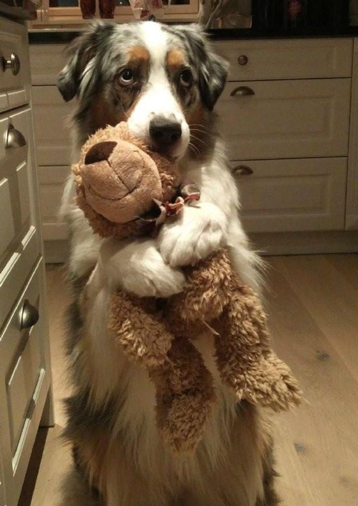 a82bbc5c8a85ddc80f2d1802aa