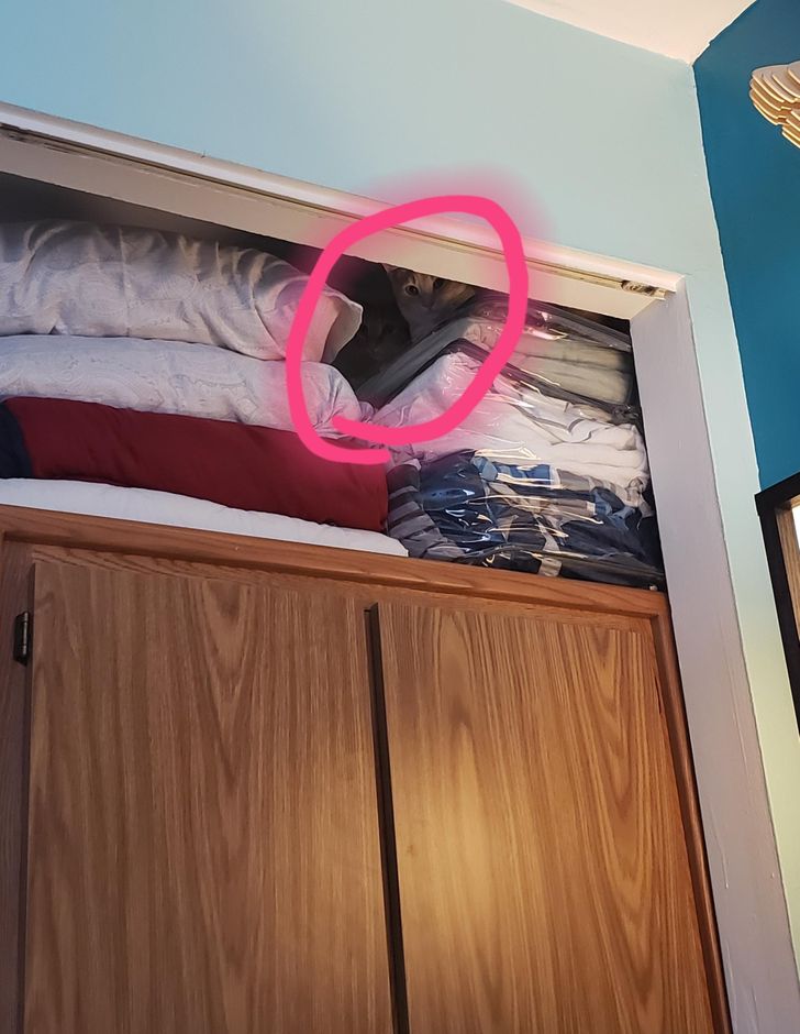 a8338a5ecd8b68e22ef23030c3