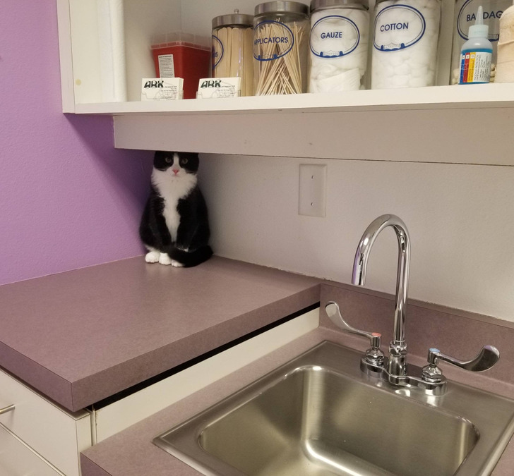 a835505351907caa3d56df7982 a835505351907caa3d56df7982