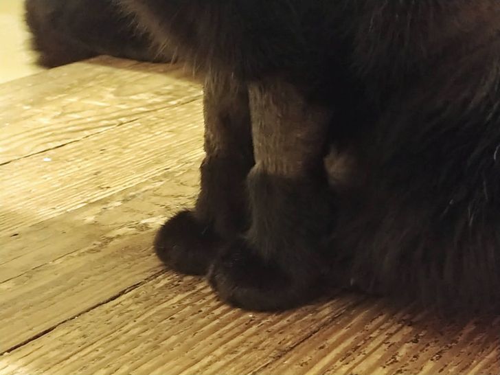 a8421a51ada19d331271e04143