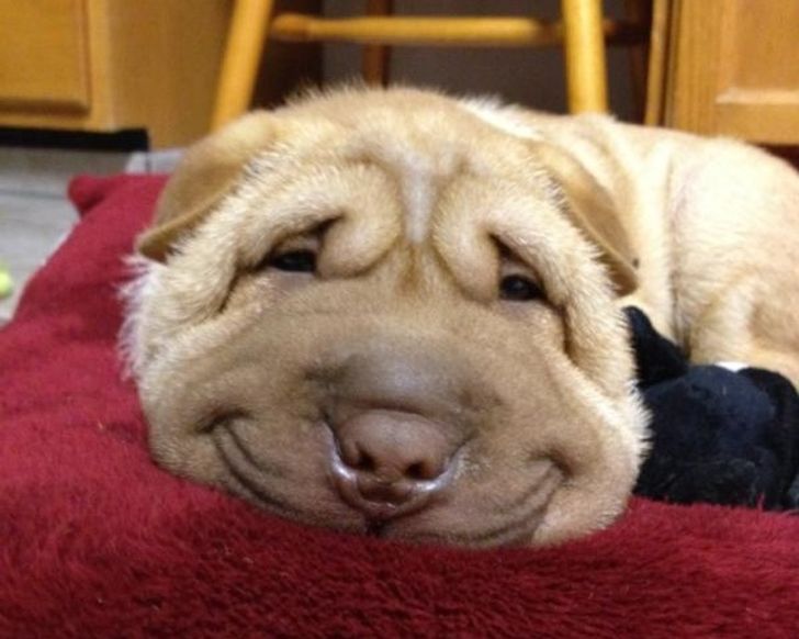 a84240585e80051c5f3e92d147