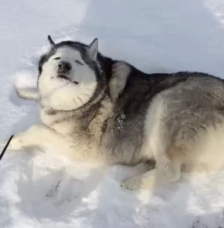 a8490455a29547b3c2a330166f