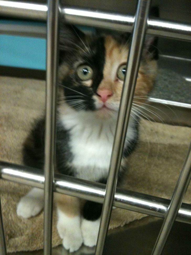 a849a1540db122ec71fb2c5696