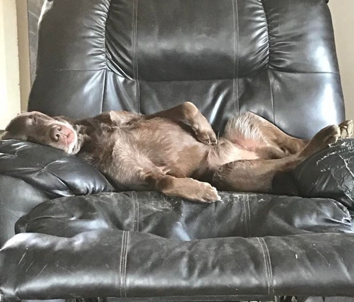 a84bf45f9daf26377aa38f9ed4