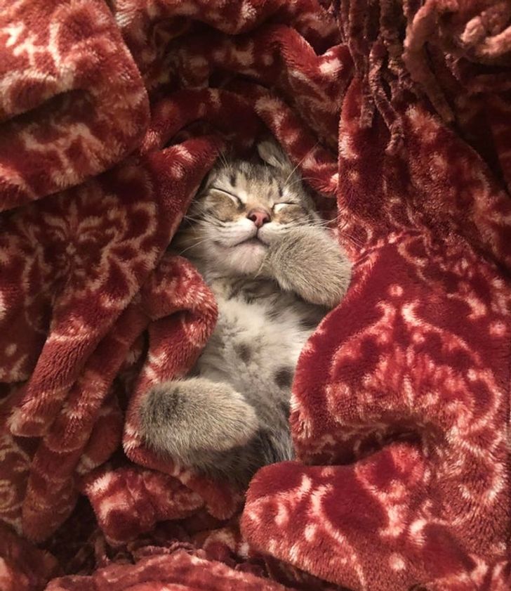 a84dc95bcbbd495d01e56325a2