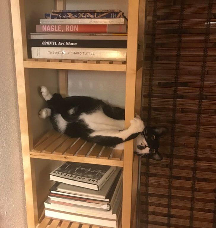 a85956503987f18fb09243e211