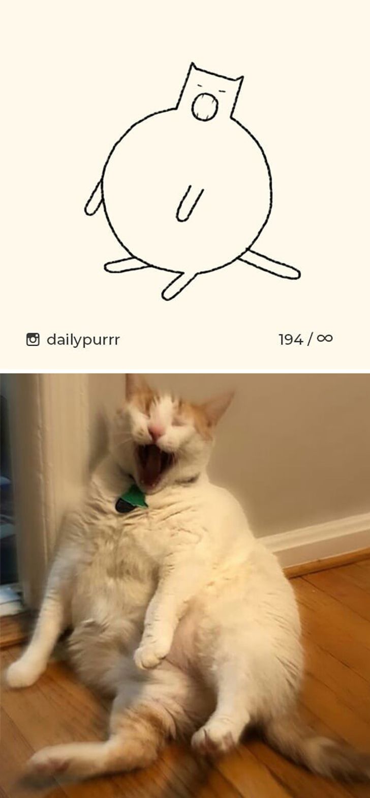 a85d5352b39e7a47cc530a8fa5