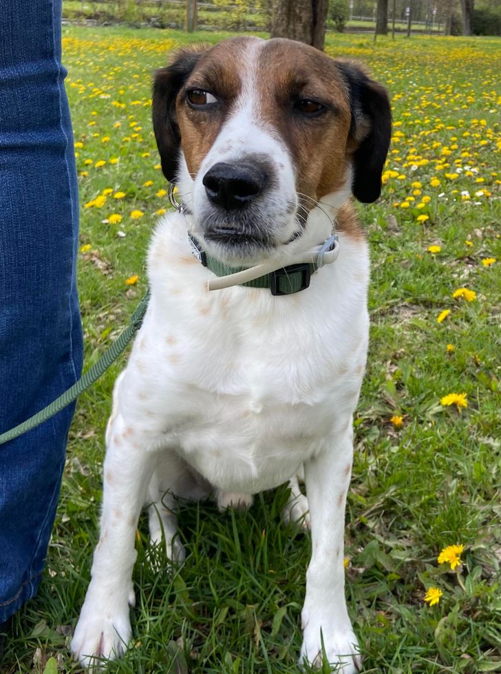 a85e505dd9aafabad6a2ff2dff