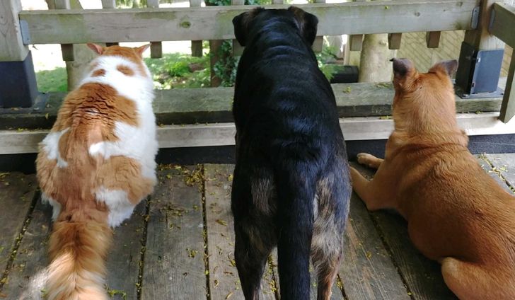 a860fc57f6aa4d7fedbd1c956d