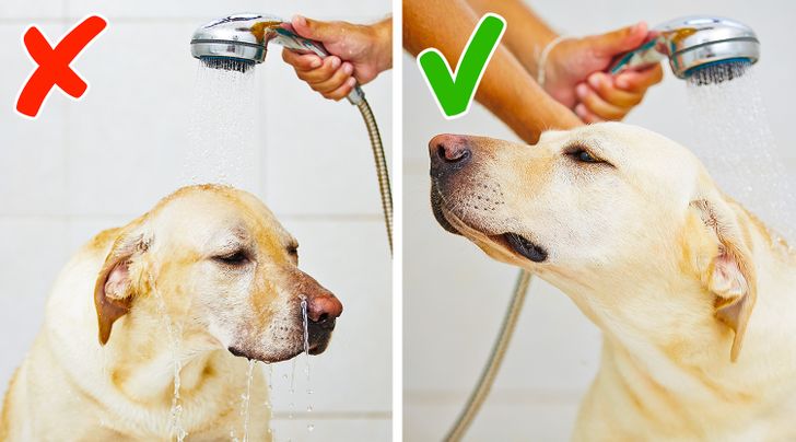 a8619b53cd854e874e3b7dd923