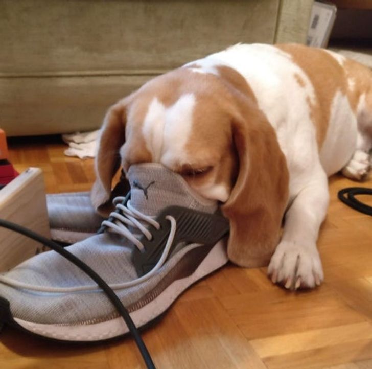 a8682f56959adef416d3029e3b