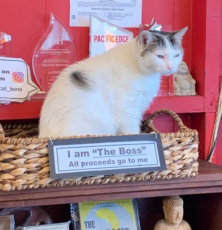 a871b558a7954c831cf97d21b4