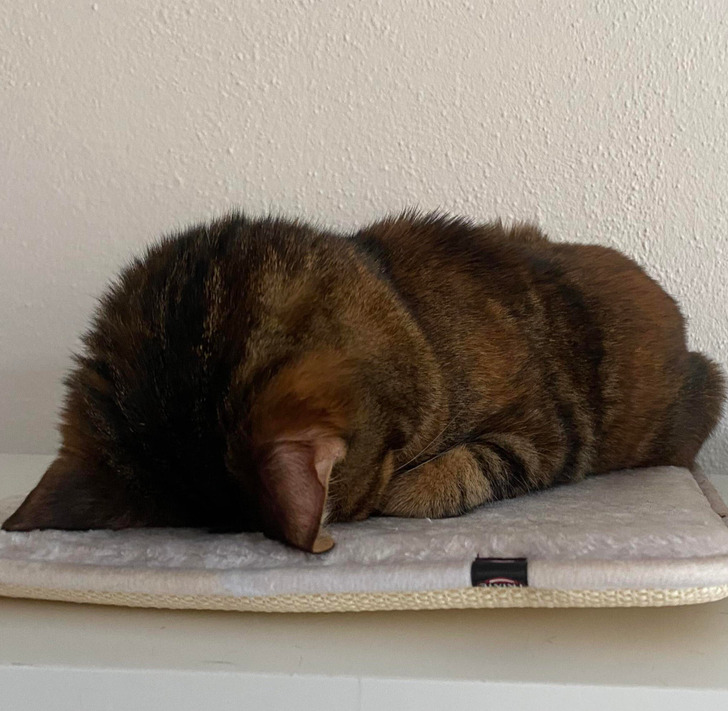 a871dc569fb47e6183ff6cd04a a871dc569fb47e6183ff6cd04a