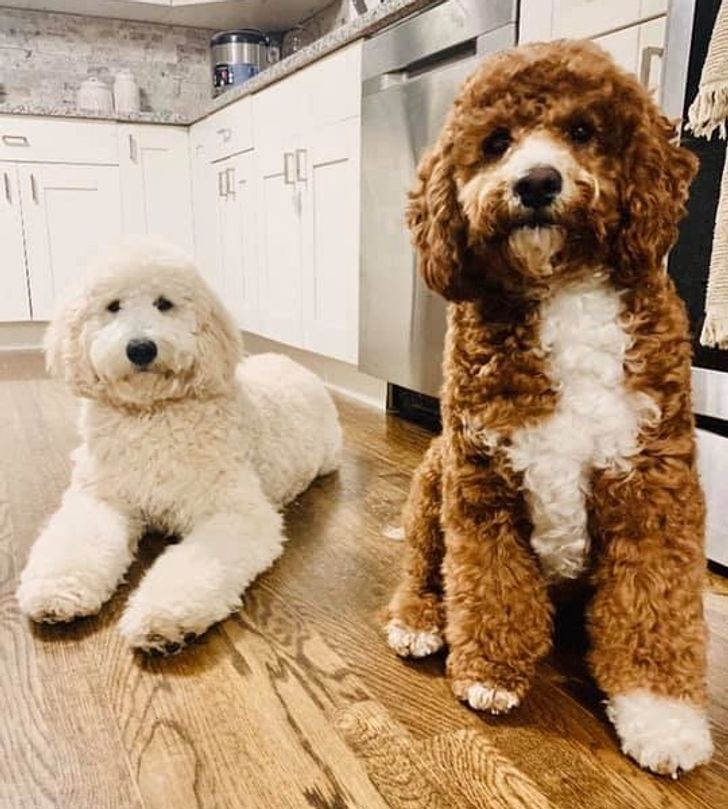 a8766f5491a8cd7d9cc3041d0c