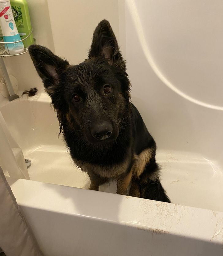 a87bcf50bb8228b35aafba3223 a87bcf50bb8228b35aafba3223