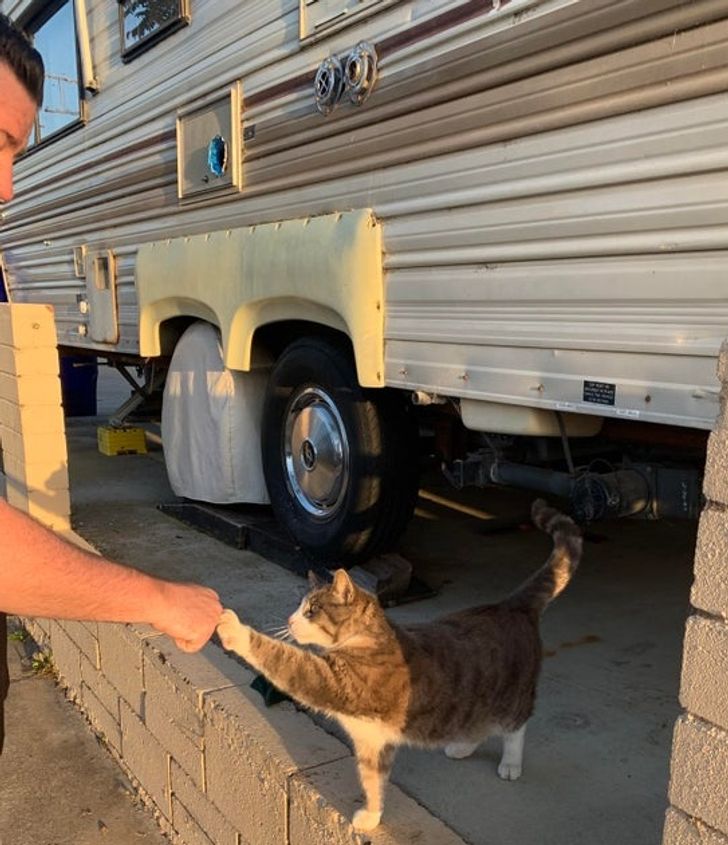 a87cd25cd289c8f692e2b50cfc