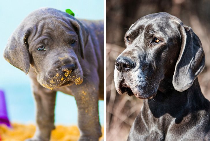 a87e3559a3986d299a36330260