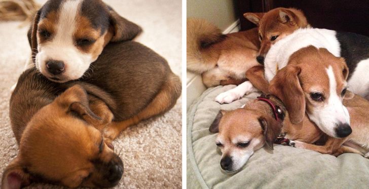 a8887252e38c03337ac1be0f15